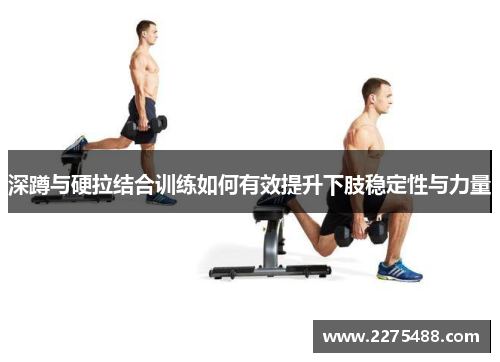 深蹲与硬拉结合训练如何有效提升下肢稳定性与力量