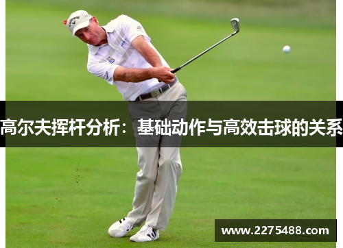 高尔夫挥杆分析：基础动作与高效击球的关系