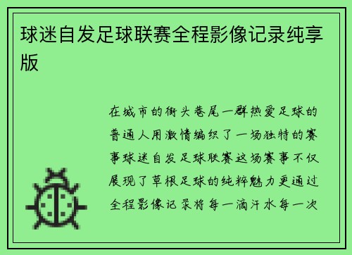 球迷自发足球联赛全程影像记录纯享版