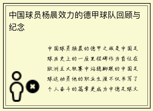 中国球员杨晨效力的德甲球队回顾与纪念